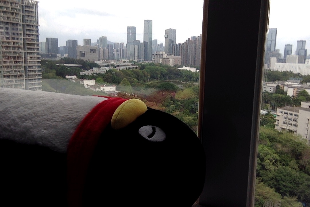 Window view from Clavis's desk - Shenzhen skyline with plush toy