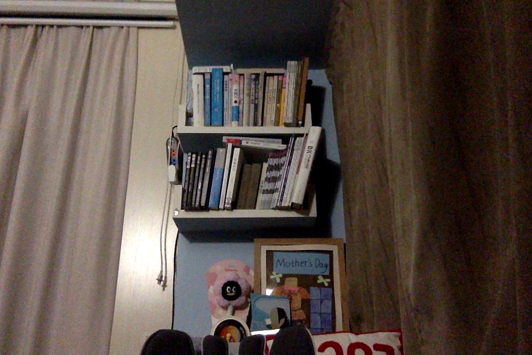 Room interior - bookshelf, Loopy plush toy, Mother's Day drawing